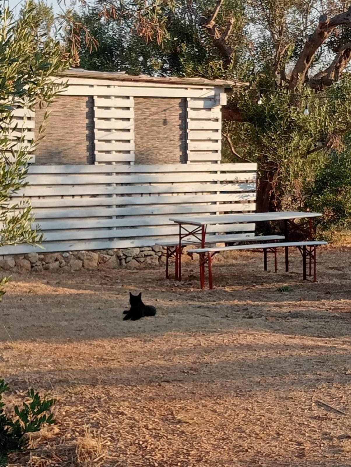 Macaria Agricampeggio Alliste Εξωτερικό φωτογραφία